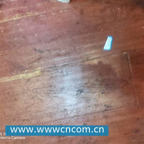 星空体育 可持续材料应用